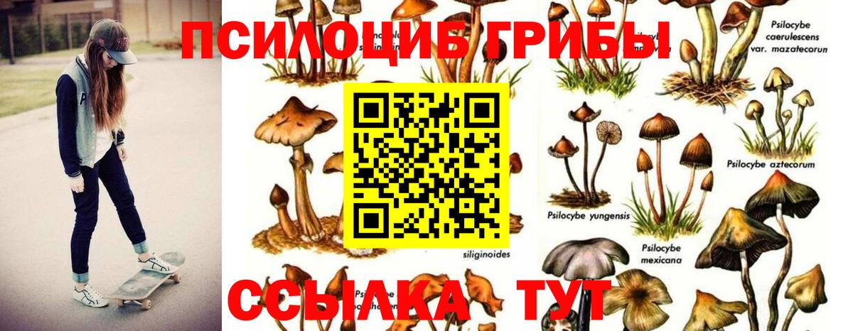 Галлюциногенные грибы ЛСД  Вход с VPN  Кропоткин 