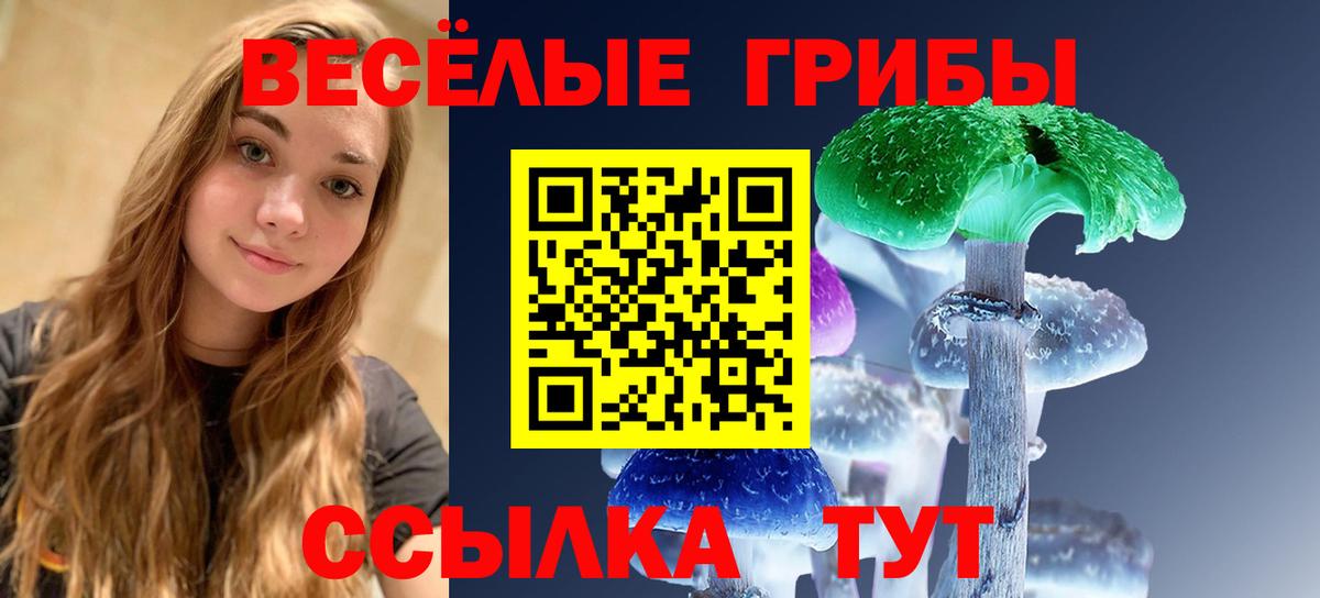 Галлюциногенные грибы MAGIC MUSHROOMS Кропоткин